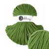 Shiny Moss Green (auslaufmodell)